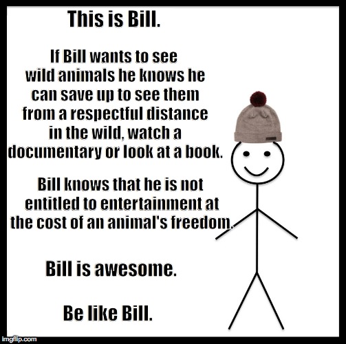 Be Like Bill | This is Bill. If Bill wants to see wild animals he knows he can save up to see them from a respectful distance in the wild, watch a documentary or look at a book. Bill knows that he is not entitled to entertainment at the cost of an animal's freedom. Bill is awesome. Be like Bill. | image tagged in be like bill template | made w/ Imgflip meme maker