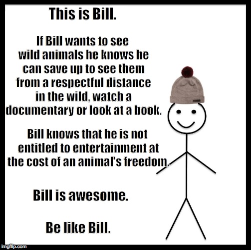 Be Like Bill Meme - Imgflip