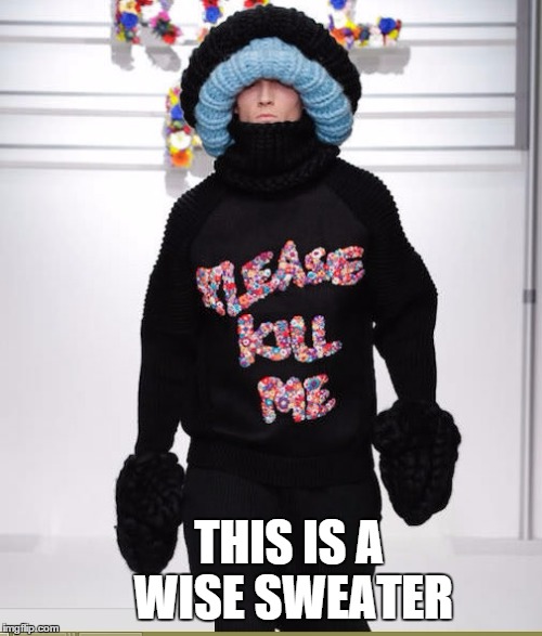 please kill me | THIS IS A WISE SWEATER | image tagged in please kill me | made w/ Imgflip meme maker