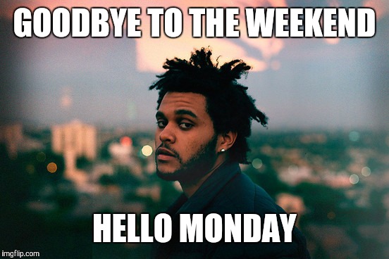 the weekend | GOODBYE TO THE WEEKEND; HELLO MONDAY | image tagged in the weekend | made w/ Imgflip meme maker