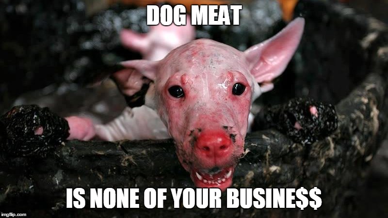 DOG MEAT; IS NONE OF YOUR BUSINE$$ | made w/ Imgflip meme maker