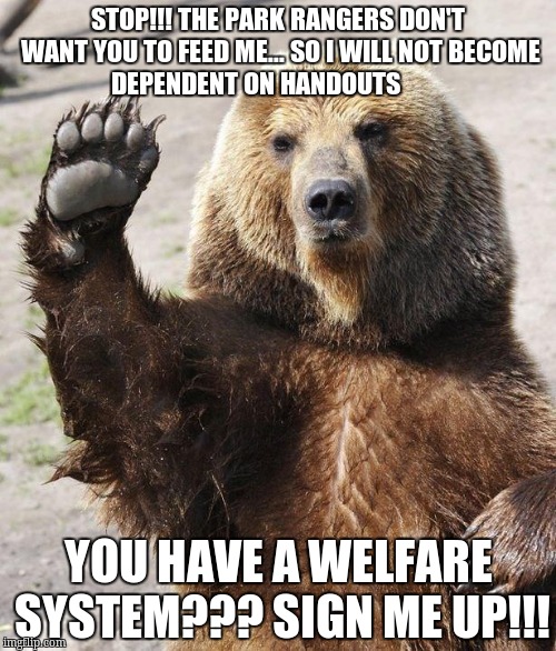 Hello bear | STOP!!! THE PARK RANGERS DON'T WANT YOU TO FEED ME... SO I WILL NOT BECOME DEPENDENT ON HANDOUTS; YOU HAVE A WELFARE SYSTEM??? SIGN ME UP!!! | image tagged in hello bear | made w/ Imgflip meme maker