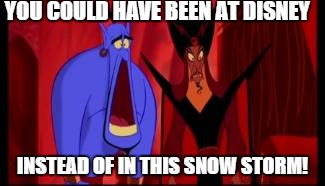 Disney | YOU COULD HAVE BEEN AT DISNEY; INSTEAD OF IN THIS SNOW STORM! | image tagged in disney | made w/ Imgflip meme maker