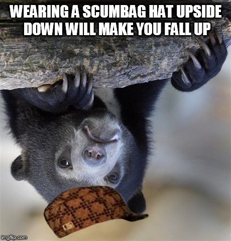 Confession Bear | WEARING A SCUMBAG HAT UPSIDE DOWN WILL MAKE YOU FALL UP | image tagged in memes,confession bear,scumbag | made w/ Imgflip meme maker
