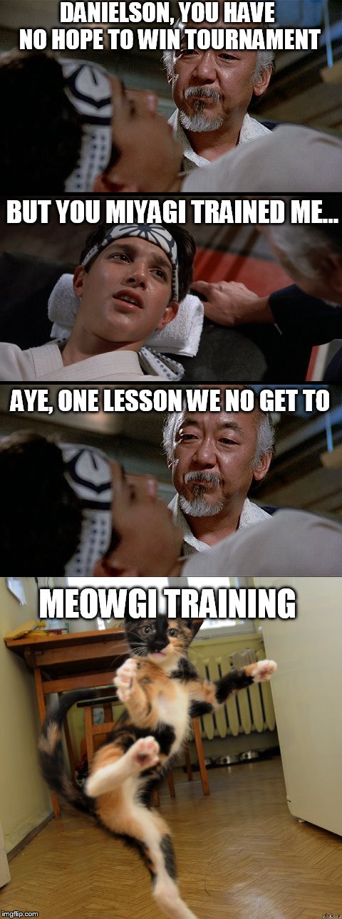 The Karate Kit | DANIELSON, YOU HAVE NO HOPE TO WIN TOURNAMENT; BUT YOU MIYAGI TRAINED ME... AYE, ONE LESSON WE NO GET TO; MEOWGI TRAINING | image tagged in memes,funny,cats,karate kid,crane no good | made w/ Imgflip meme maker