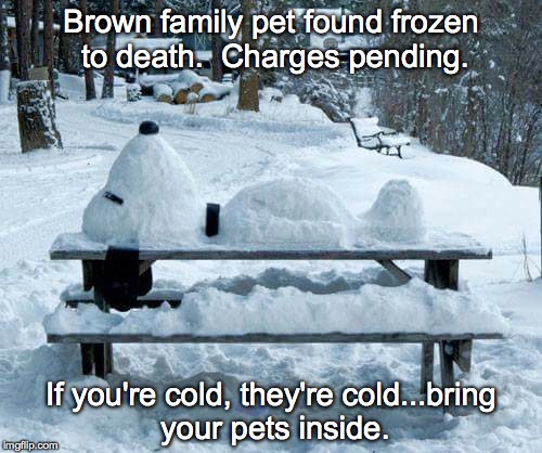 Poor Snoopy | Brown family pet found frozen to death.  Charges pending. If you're cold, they're cold...bring your pets inside. | image tagged in snoopy,if you're cold,bring them inside | made w/ Imgflip meme maker