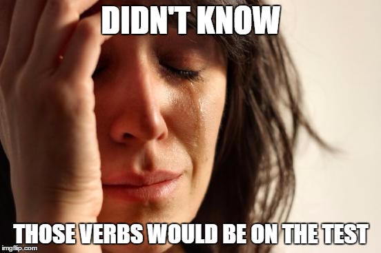 First World Problems Meme | DIDN'T KNOW; THOSE VERBS WOULD BE ON THE TEST | image tagged in memes,first world problems | made w/ Imgflip meme maker