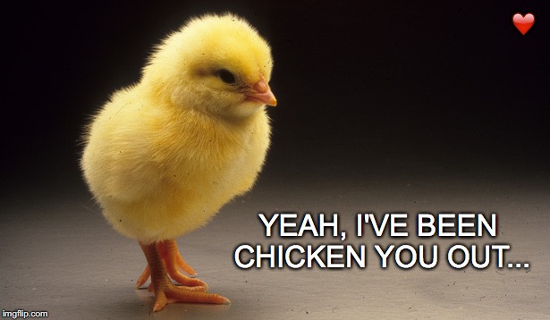 Strut for me, Baby! | ❤️; YEAH, I'VE BEEN CHICKEN YOU OUT... | image tagged in chick,baby chick,chicken you out,chicken joke | made w/ Imgflip meme maker