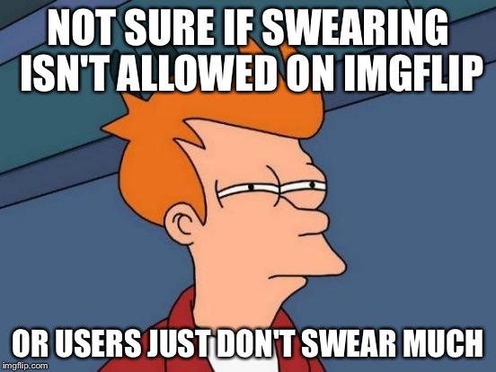 Futurama Fry Meme | NOT SURE IF SWEARING ISN'T ALLOWED ON IMGFLIP; OR USERS JUST DON'T SWEAR MUCH | image tagged in memes,futurama fry | made w/ Imgflip meme maker