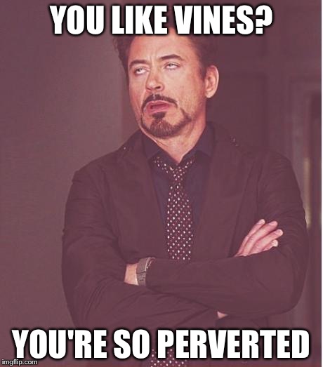 This Is What My Friend Is Like. | YOU LIKE VINES? YOU'RE SO PERVERTED | image tagged in memes,face you make robert downey jr | made w/ Imgflip meme maker