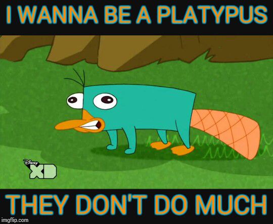 platypus | I WANNA BE A PLATYPUS; THEY DON'T DO MUCH | image tagged in platypus | made w/ Imgflip meme maker