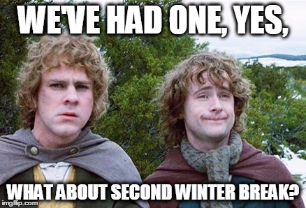 Second Breakfast | WE'VE HAD ONE, YES, WHAT ABOUT SECOND WINTER BREAK? | image tagged in second breakfast,AdviceAnimals | made w/ Imgflip meme maker