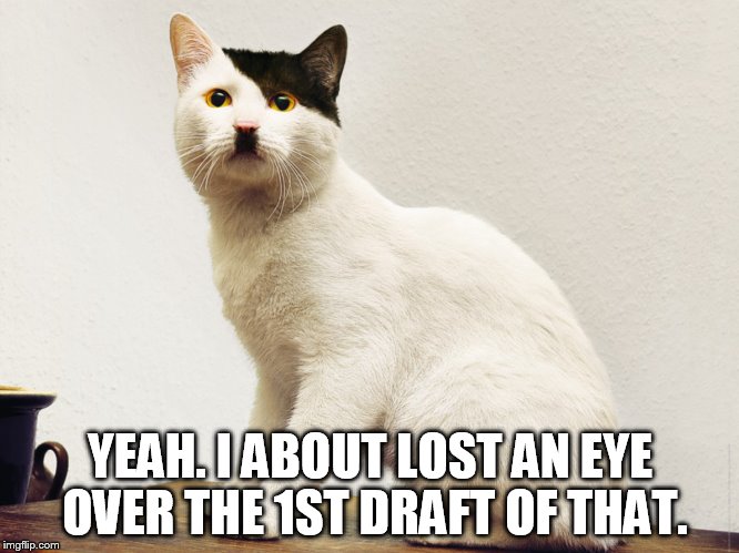 YEAH. I ABOUT LOST AN EYE OVER THE 1ST DRAFT OF THAT. | made w/ Imgflip meme maker