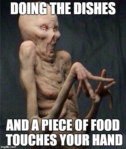 Disgusted | DOING THE DISHES; AND A PIECE OF FOOD TOUCHES YOUR HAND | image tagged in disgusted | made w/ Imgflip meme maker