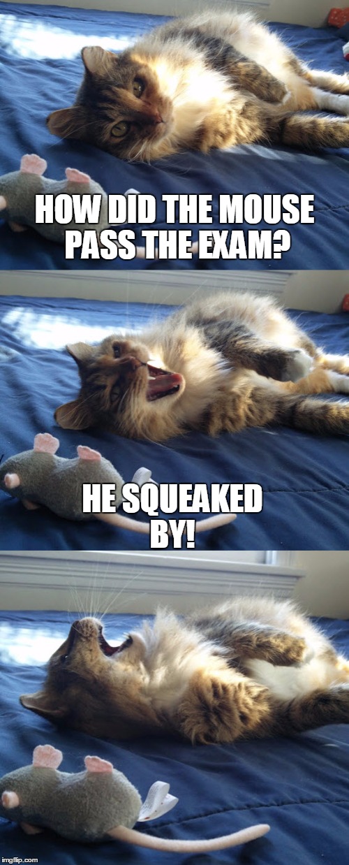 HOW DID THE MOUSE PASS THE EXAM? HE SQUEAKED BY! | image tagged in wendy from texas | made w/ Imgflip meme maker