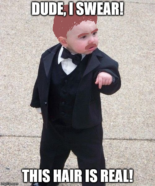 Baby Godfather Meme | DUDE, I SWEAR! THIS HAIR IS REAL! | image tagged in memes,baby godfather | made w/ Imgflip meme maker