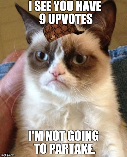 Grumpy Cat Meme | I SEE YOU HAVE 9 UPVOTES I'M NOT GOING TO PARTAKE. | image tagged in memes,grumpy cat,scumbag | made w/ Imgflip meme maker
