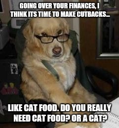 Tax time | GOING OVER YOUR FINANCES, I THINK ITS TIME TO MAKE CUTBACKS... LIKE CAT FOOD. DO YOU REALLY NEED CAT FOOD? OR A CAT? | image tagged in smart dog | made w/ Imgflip meme maker