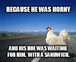Why did the chicken cross the road? | BECAUSE HE WAS HORNY; AND HIS HOE WAS WAITING FOR HIM.  WITH A SANDWICH. | image tagged in why the chicken cross the road | made w/ Imgflip meme maker