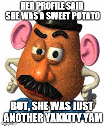 were tubers meet tubers | HER PROFILE SAID SHE WAS A SWEET POTATO; BUT, SHE WAS JUST ANOTHER YAKKITY YAM | image tagged in mr potato head,no hater tater,memes,funny memes,internet dating | made w/ Imgflip meme maker