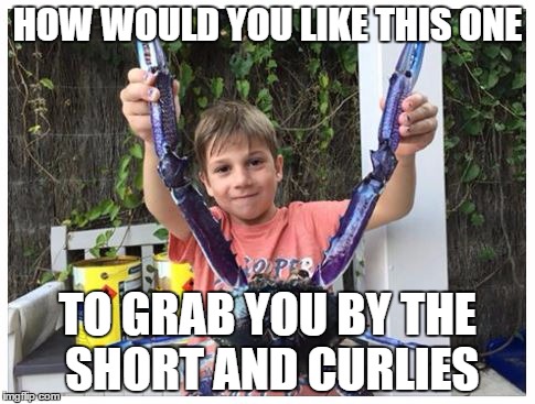 HOW WOULD YOU LIKE THIS ONE; TO GRAB YOU BY THE SHORT AND CURLIES | image tagged in crabs | made w/ Imgflip meme maker