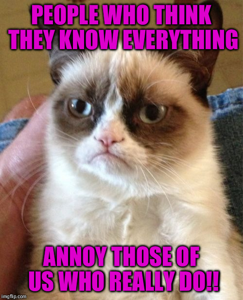 Grumpy Cat |  PEOPLE WHO THINK THEY KNOW EVERYTHING; ANNOY THOSE OF US WHO REALLY DO!! | image tagged in memes,grumpy cat | made w/ Imgflip meme maker