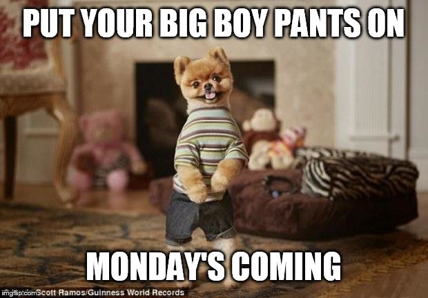 Dog in pants | PUT YOUR BIG BOY PANTS ON; MONDAY'S COMING | image tagged in dog in pants | made w/ Imgflip meme maker