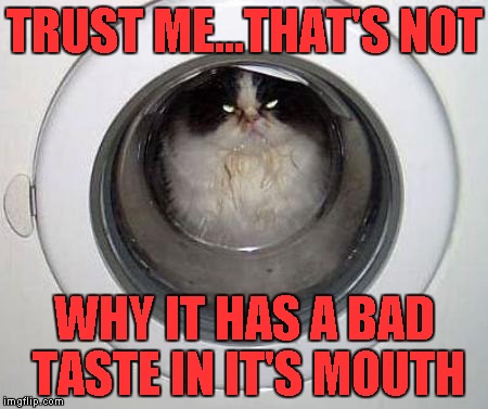 TRUST ME...THAT'S NOT WHY IT HAS A BAD TASTE IN IT'S MOUTH | made w/ Imgflip meme maker
