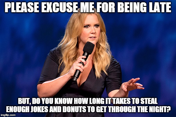 She did what! | PLEASE EXCUSE ME FOR BEING LATE; BUT, DO YOU KNOW HOW LONG IT TAKES TO STEAL ENOUGH JOKES AND DONUTS TO GET THROUGH THE NIGHT? | image tagged in amy shumer,memes,funny memes | made w/ Imgflip meme maker