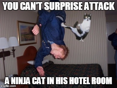 YOU CAN'T SURPRISE ATTACK A NINJA CAT IN HIS HOTEL ROOM | made w/ Imgflip meme maker