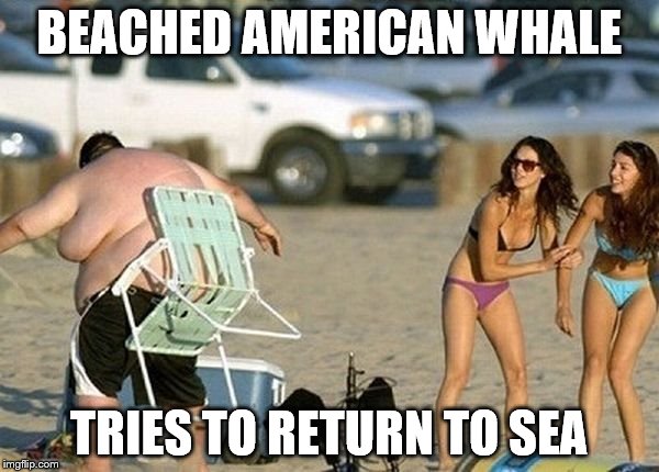 BEACHED AMERICAN WHALE TRIES TO RETURN TO SEA | made w/ Imgflip meme maker