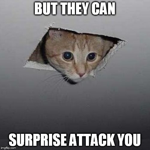 BUT THEY CAN SURPRISE ATTACK YOU | made w/ Imgflip meme maker