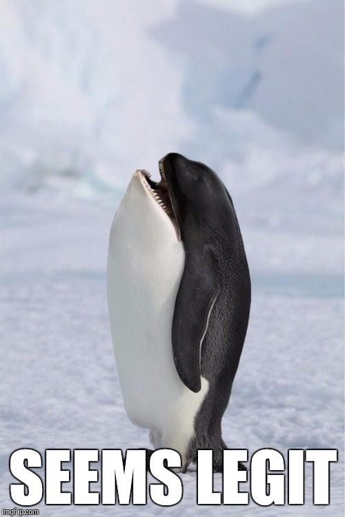 Whale Penguin | SEEMS LEGIT | image tagged in whale penguin | made w/ Imgflip meme maker