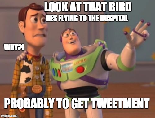 X, X Everywhere Meme | LOOK AT THAT BIRD HES FLYING TO THE HOSPITAL WHY?! PROBABLY TO GET TWEETMENT | image tagged in memes,x x everywhere | made w/ Imgflip meme maker