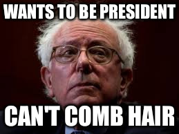 WANTS TO BE PRESIDENT; CAN'T COMB HAIR | image tagged in bernie sanders | made w/ Imgflip meme maker