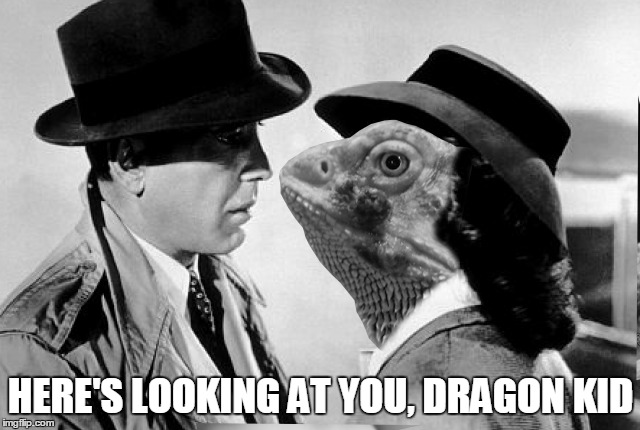 Humphrey Bogart and Ingrid "Bearded Dragon" Bergman | HERE'S LOOKING AT YOU, DRAGON KID | image tagged in memes,casablanca,bogart,bearded dragon | made w/ Imgflip meme maker