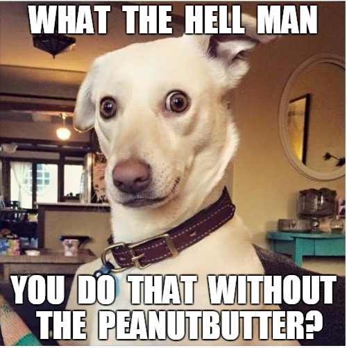 You do that without the peanutbutter? | WHAT  THE  HELL  MAN; YOU  DO  THAT  WITHOUT  THE  PEANUTBUTTER? | image tagged in dog 2 | made w/ Imgflip meme maker