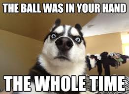 the ball | image tagged in funny,animals,dogs