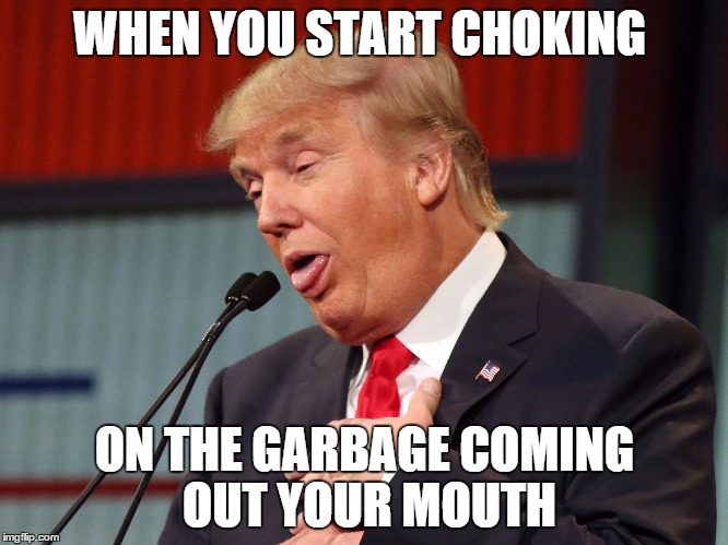 The Trumpazoid | WHEN YOU START CHOKING; ON THE GARBAGE COMING OUT YOUR MOUTH | image tagged in donald trump,donald trumph hair,donald trump approves,trump,trump 2016,memes | made w/ Imgflip meme maker