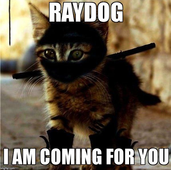 Raydog has met his match in a final battle for the food bowl  | RAYDOG; I AM COMING FOR YOU | image tagged in ninja cat | made w/ Imgflip meme maker