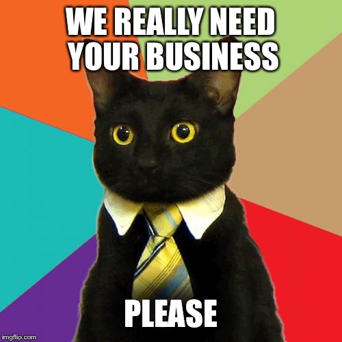 Business Cat | WE REALLY NEED YOUR BUSINESS; PLEASE | image tagged in memes,business cat | made w/ Imgflip meme maker