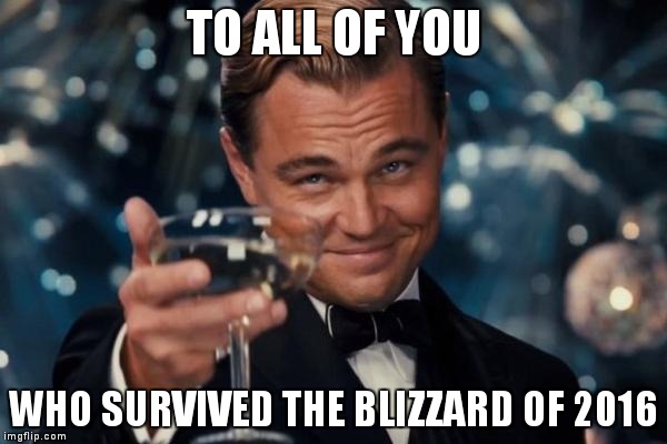Leonardo Dicaprio Cheers Meme | TO ALL OF YOU; WHO SURVIVED THE BLIZZARD OF 2016 | image tagged in memes,leonardo dicaprio cheers | made w/ Imgflip meme maker