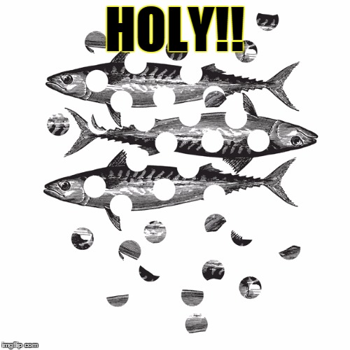HOLY!! | image tagged in holy mackerel | made w/ Imgflip meme maker