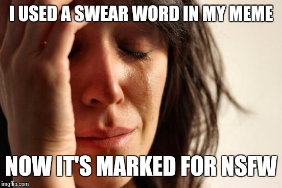 First World Problems | I USED A SWEAR WORD IN MY MEME; NOW IT'S MARKED FOR NSFW | image tagged in memes,first world problems | made w/ Imgflip meme maker