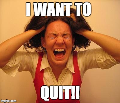 Stressed out dumb lady | I WANT TO; QUIT!! | image tagged in stressed out dumb lady | made w/ Imgflip meme maker