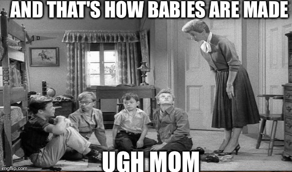 AND THAT'S HOW BABIES ARE MADE UGH MOM | made w/ Imgflip meme maker