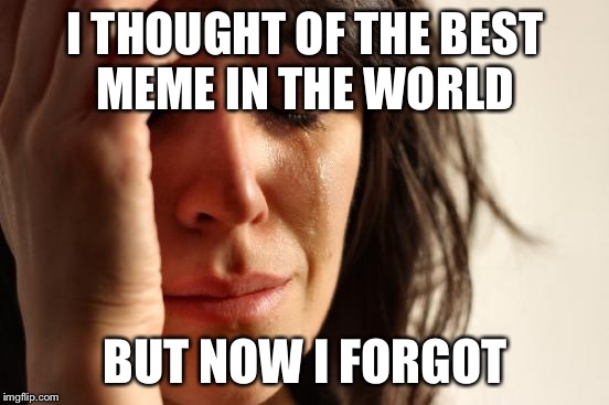 First World Problems Meme | I THOUGHT OF THE BEST MEME IN THE WORLD; BUT NOW I FORGOT | image tagged in memes,first world problems | made w/ Imgflip meme maker