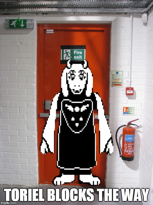 TORIEL BLOCKS THE WAY | image tagged in memes,funny | made w/ Imgflip meme maker