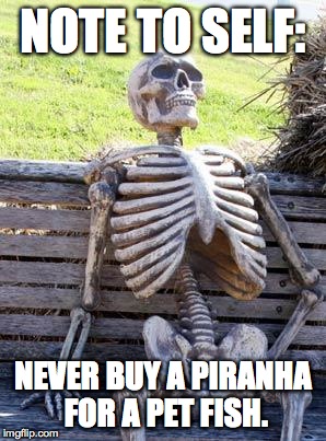bad decision | NOTE TO SELF:; NEVER BUY A PIRANHA FOR A PET FISH. | image tagged in memes,waiting skeleton | made w/ Imgflip meme maker