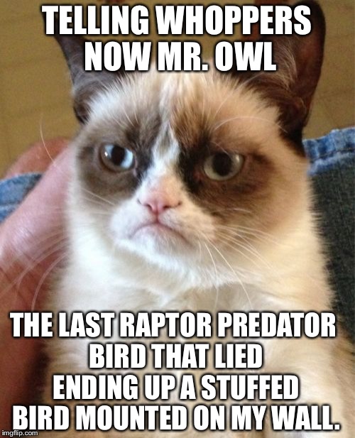 Grumpy Cat | TELLING WHOPPERS NOW MR. OWL; THE LAST RAPTOR PREDATOR BIRD THAT LIED ENDING UP A STUFFED BIRD MOUNTED ON MY WALL. | image tagged in memes,grumpy cat | made w/ Imgflip meme maker